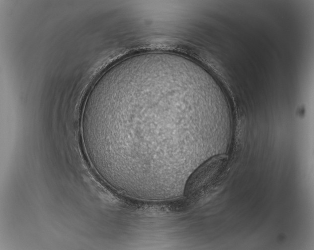 X0000115780673200911271205