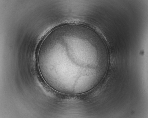 X0000115780674200911271205