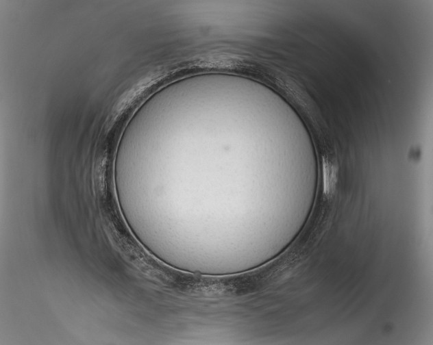 X0000115780675200911271205