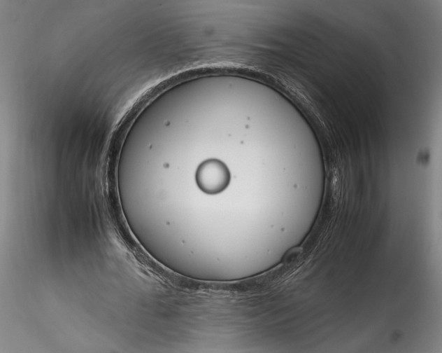 X0000115780676200911271205