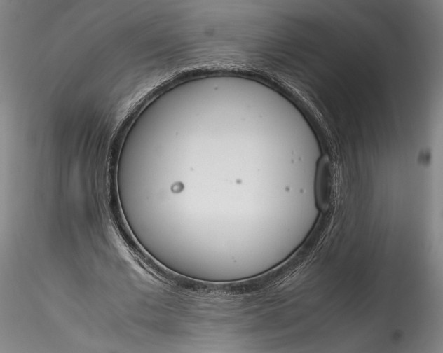 X0000115780677200911271205