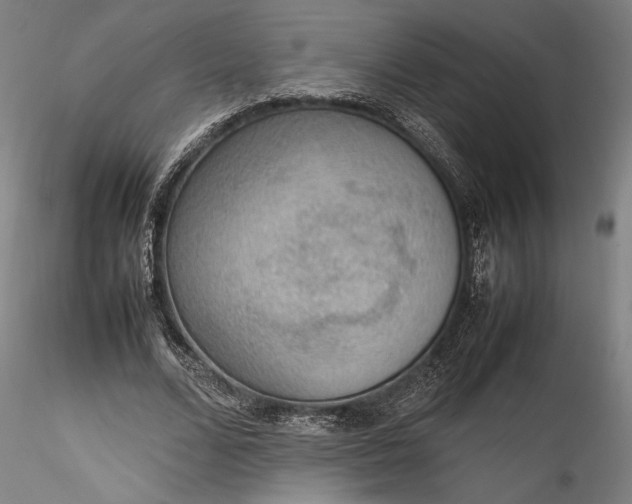 X0000115780680200911271205