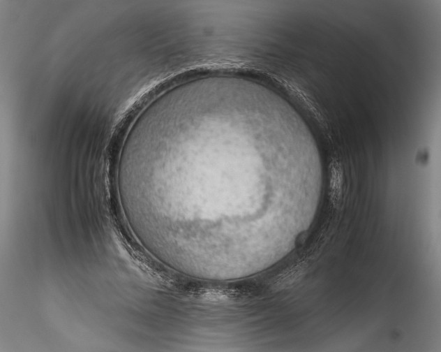 X0000115780684200911271205