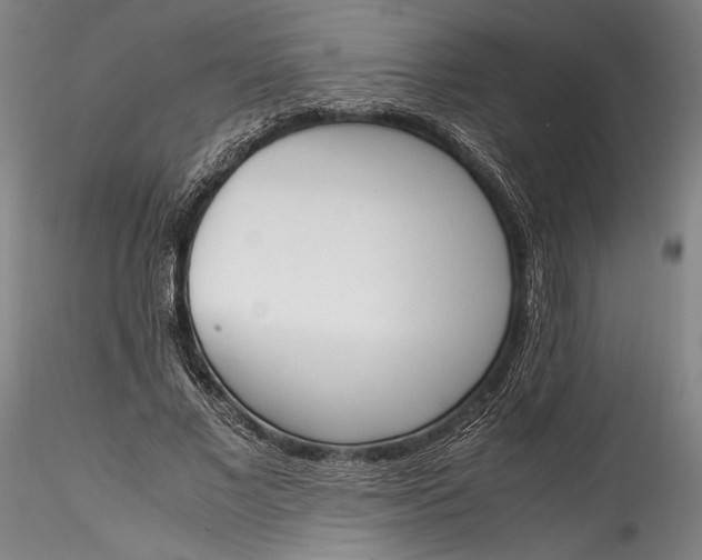 X0000115780685200911271205