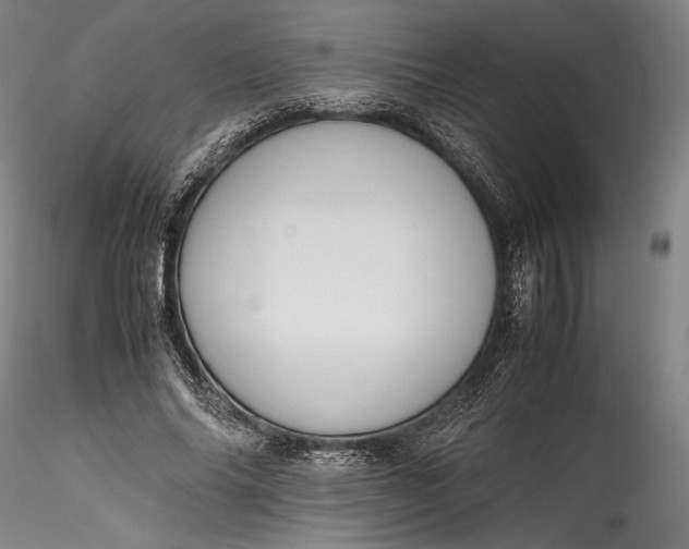 X0000115780686200911271205