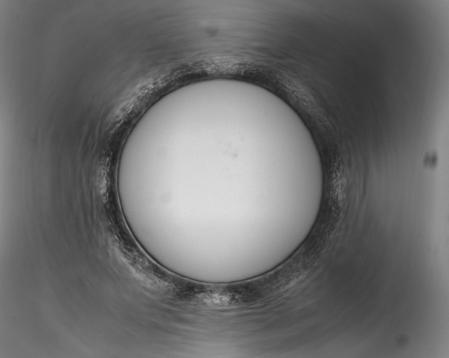 X0000115780687200911271205