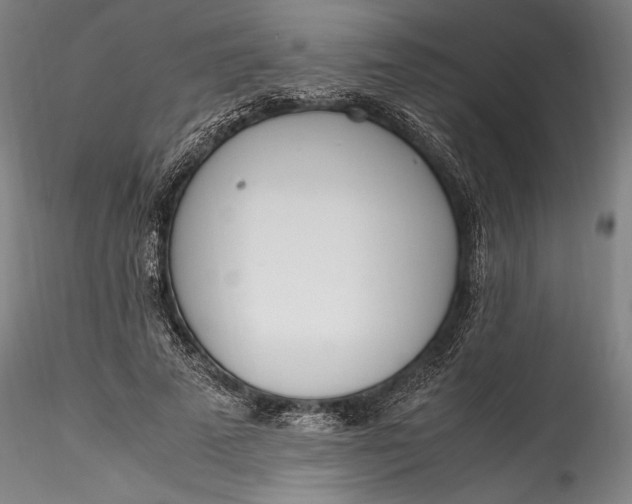 X0000115780689200911271205