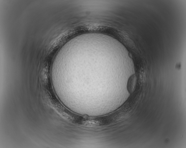 X0000115780691200911271205