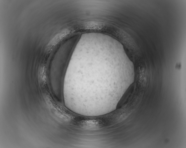 X0000115780692200911271205