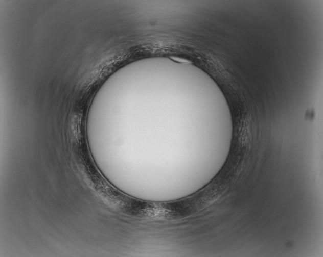 X0000115780695200911271204