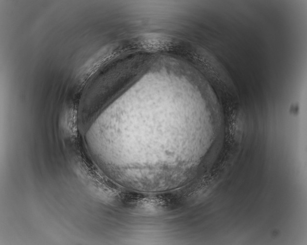 X0000115780696200911271204