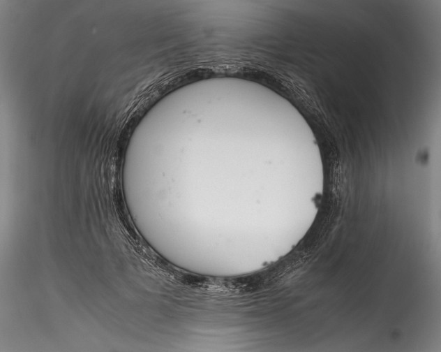 X0000115780697200911271204