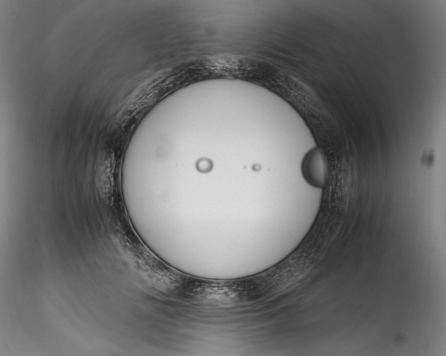 X0000115780702200911271204