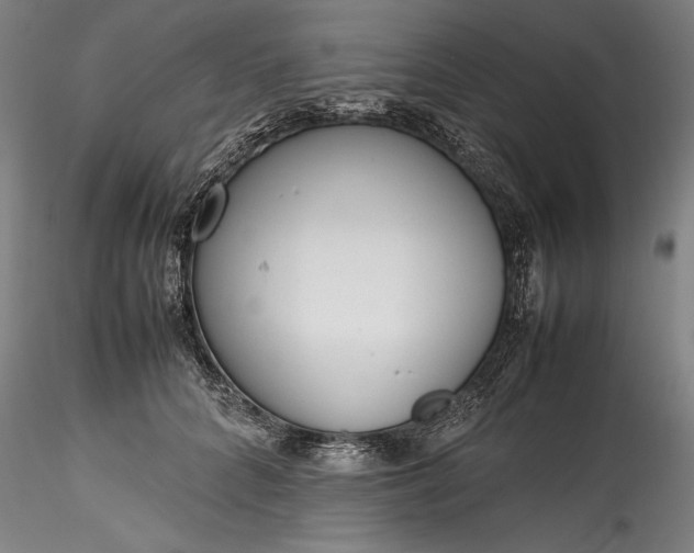 X0000115780704200911271204