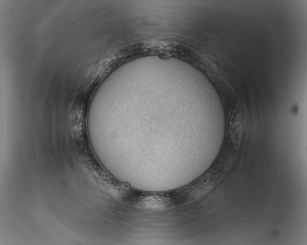 X0000115780708200911271204