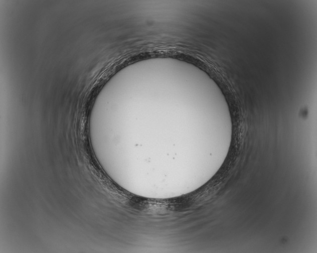 X0000115780709200911271204