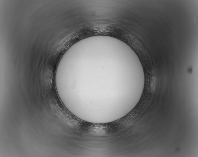 X0000115780710200911271204