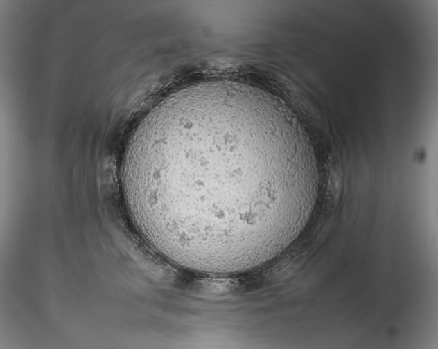 X0000115780711200911271204