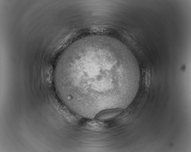 X0000115780712200911271204