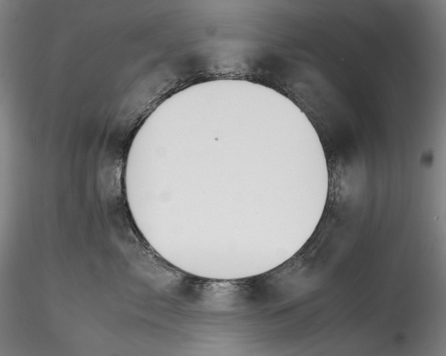 X0000115780717200911271204