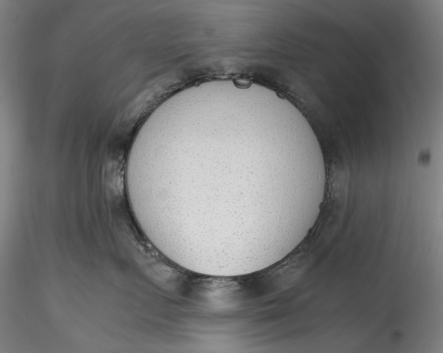 X0000115780719200911271204