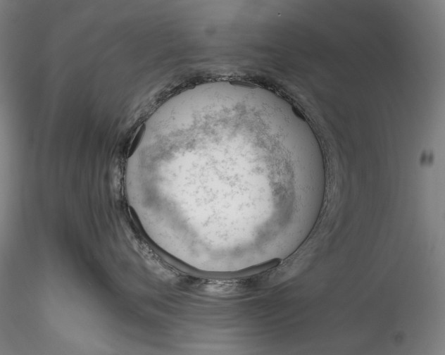 X0000115780720200911271204