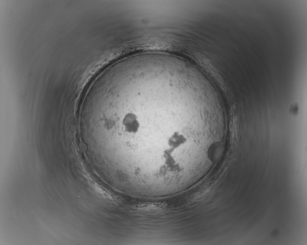 X0000115780721200911271203