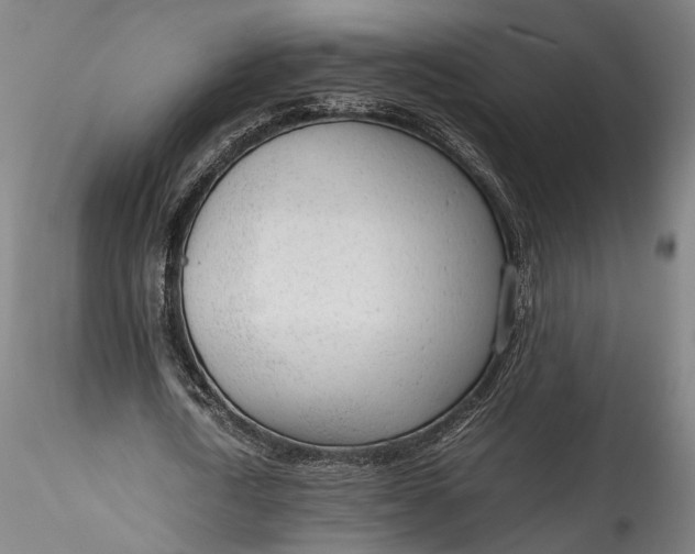 X0000115780722200911271203