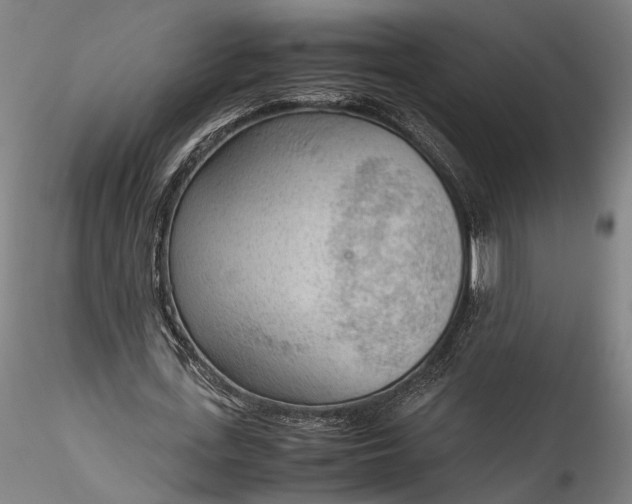 X0000115780723200911271203