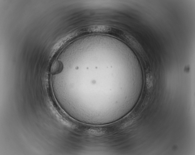 X0000115780725200911271203