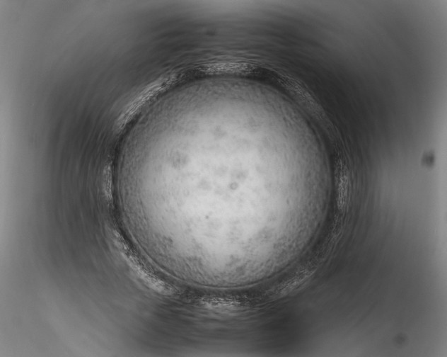 X0000115780729200911271204