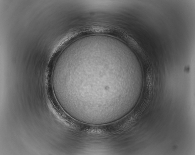 X0000115780730200911271204