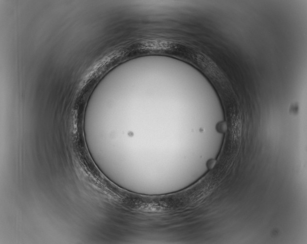 X0000115780731200911271204