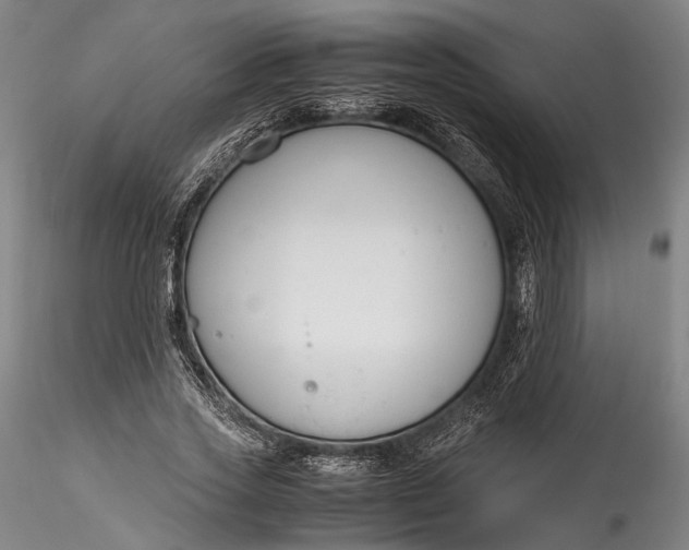 X0000115780733200911271204