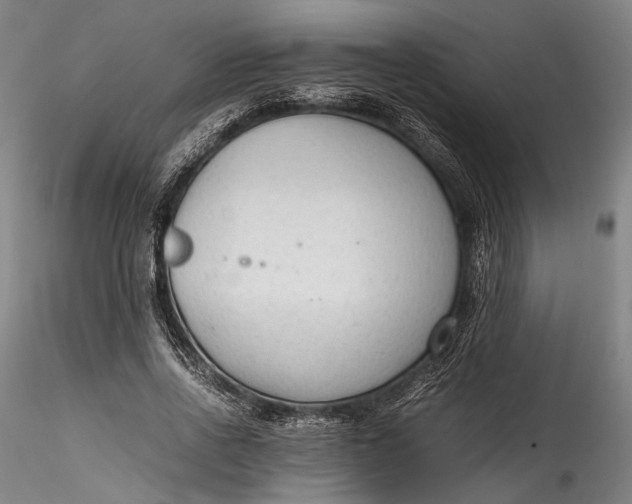 X0000115780734200911271204