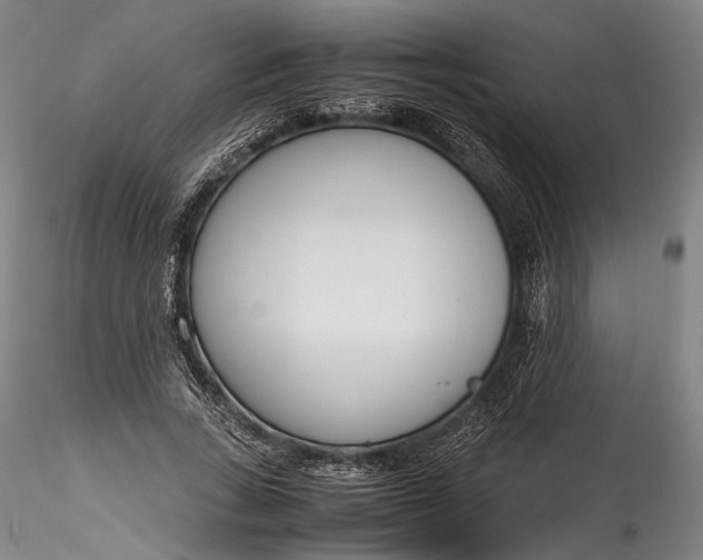 X0000115780735200911271204