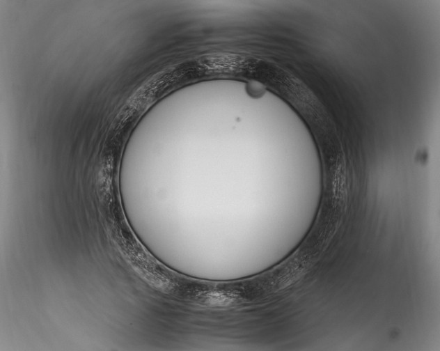 X0000115780737200911271204