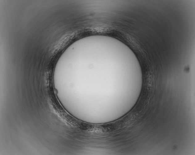 X0000115780738200911271204