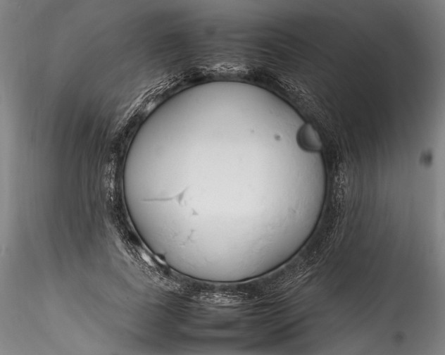 X0000115780739200911271204