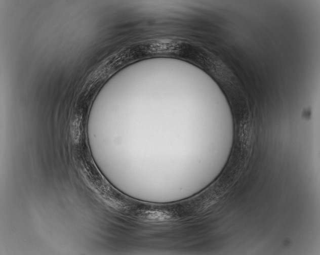 X0000115780741200911271204