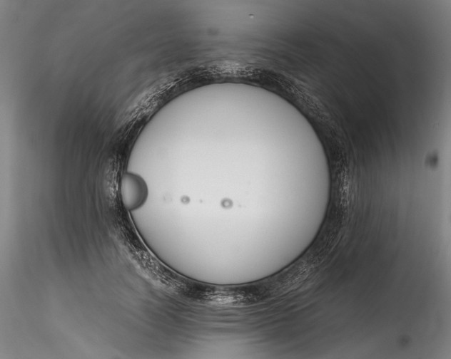 X0000115780746200911271204