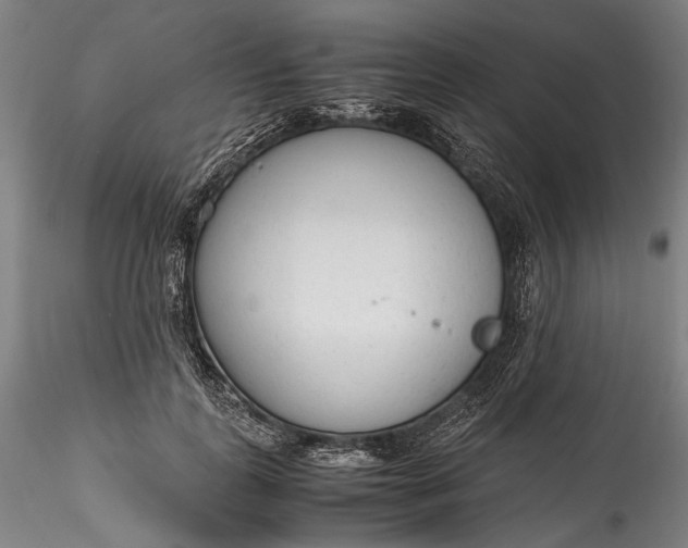 X0000115780747200911271204