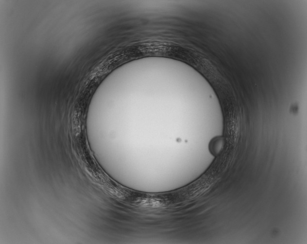 X0000115780751200911271204