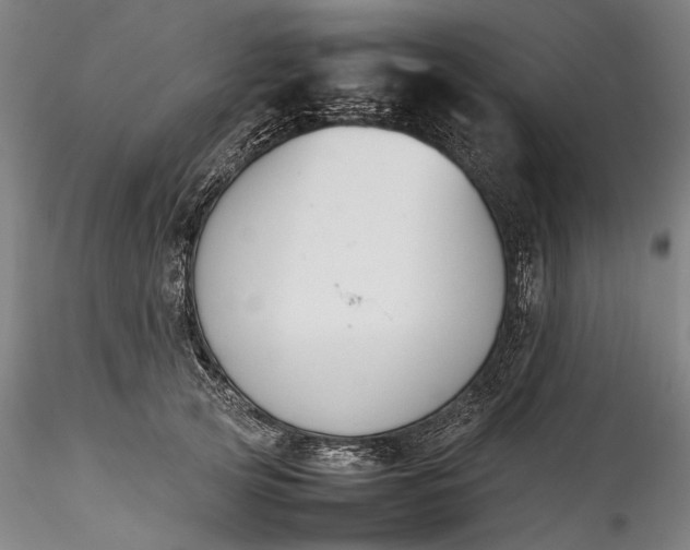 X0000115780753200911271204