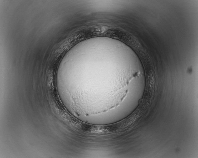 X0000115780754200911271204