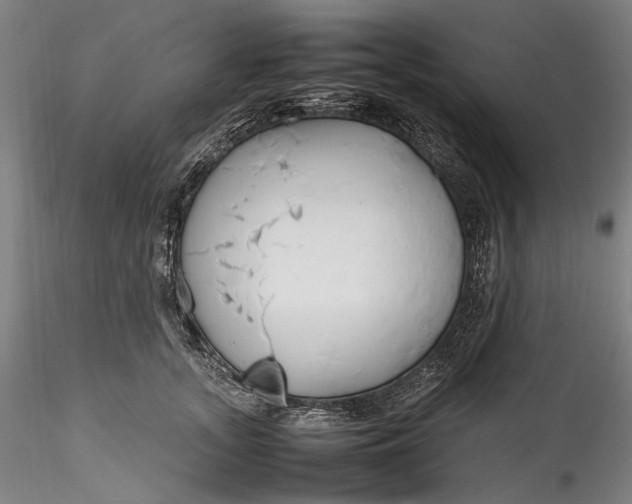 X0000115780755200911271204