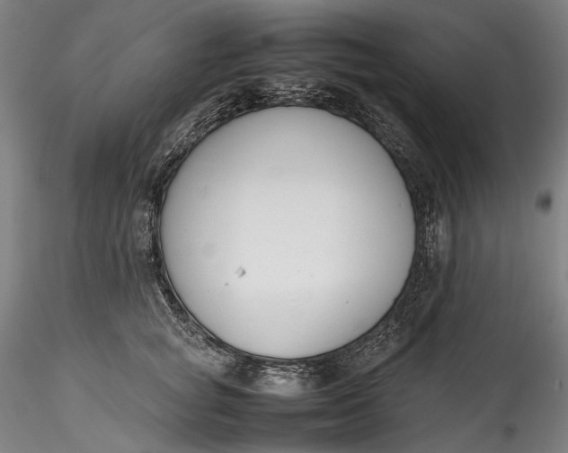 X0000115780757200911271204