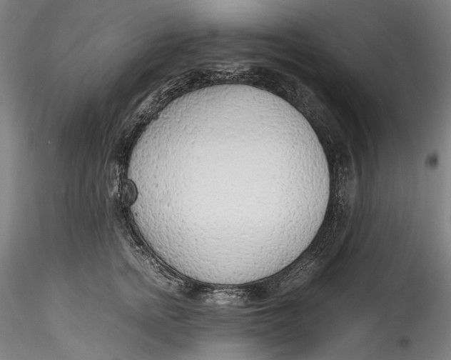 X0000115780758200911271204