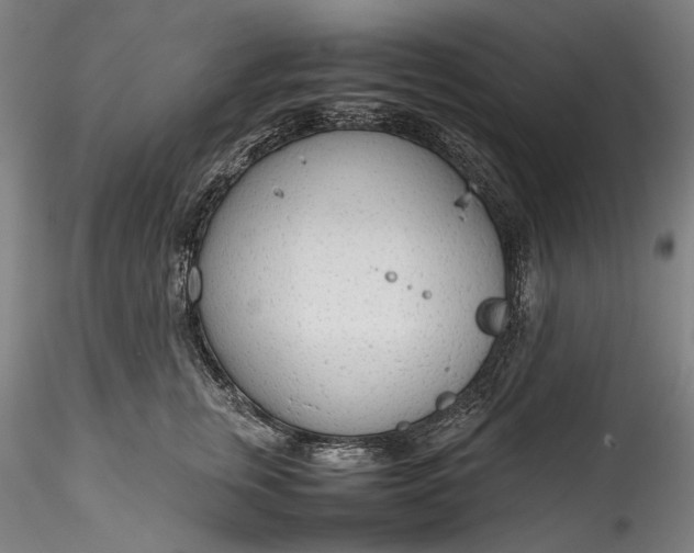 X0000115780759200911271204