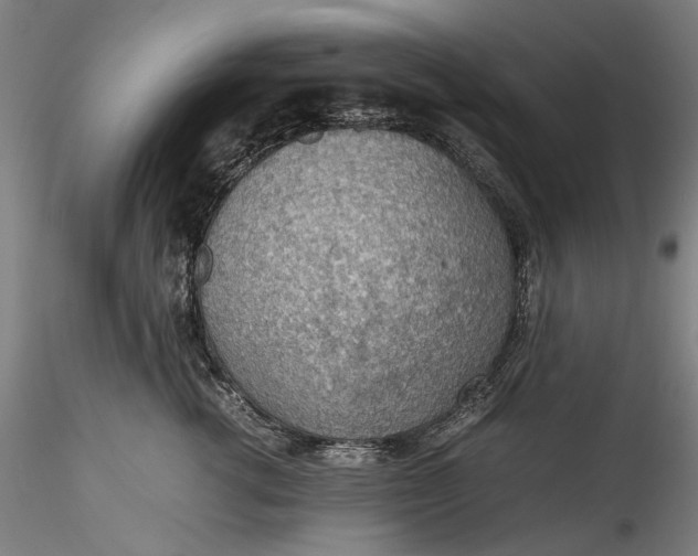 X0000115780762200911271204